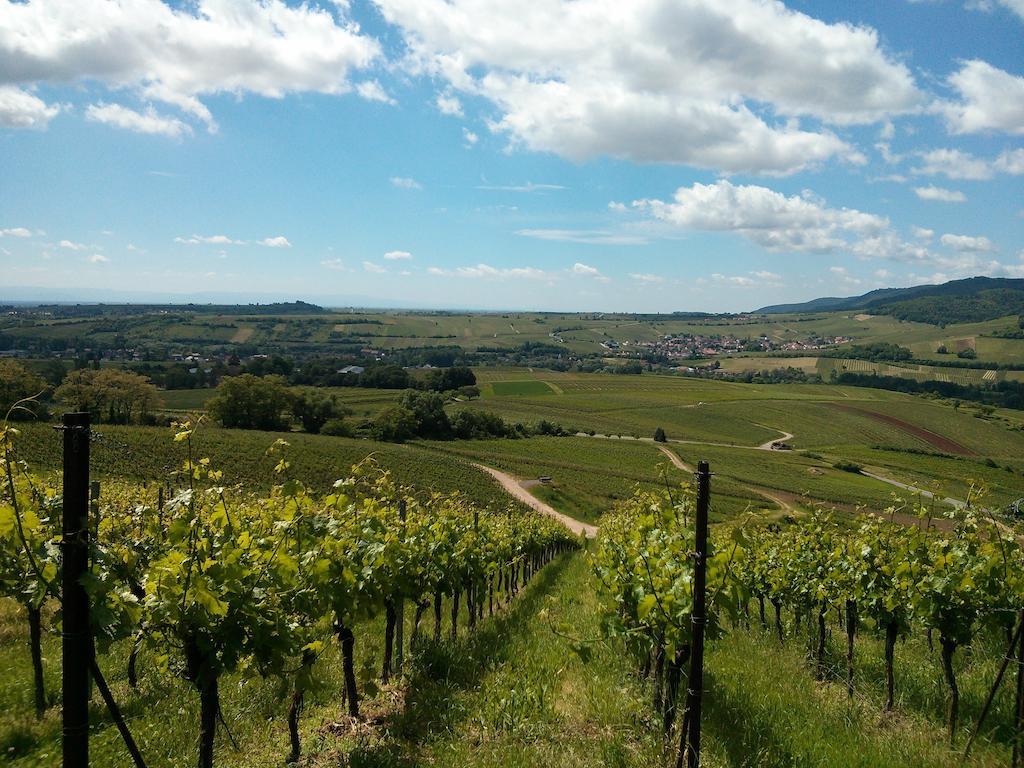 Bella Harthausen (Rhineland-Palatinate)